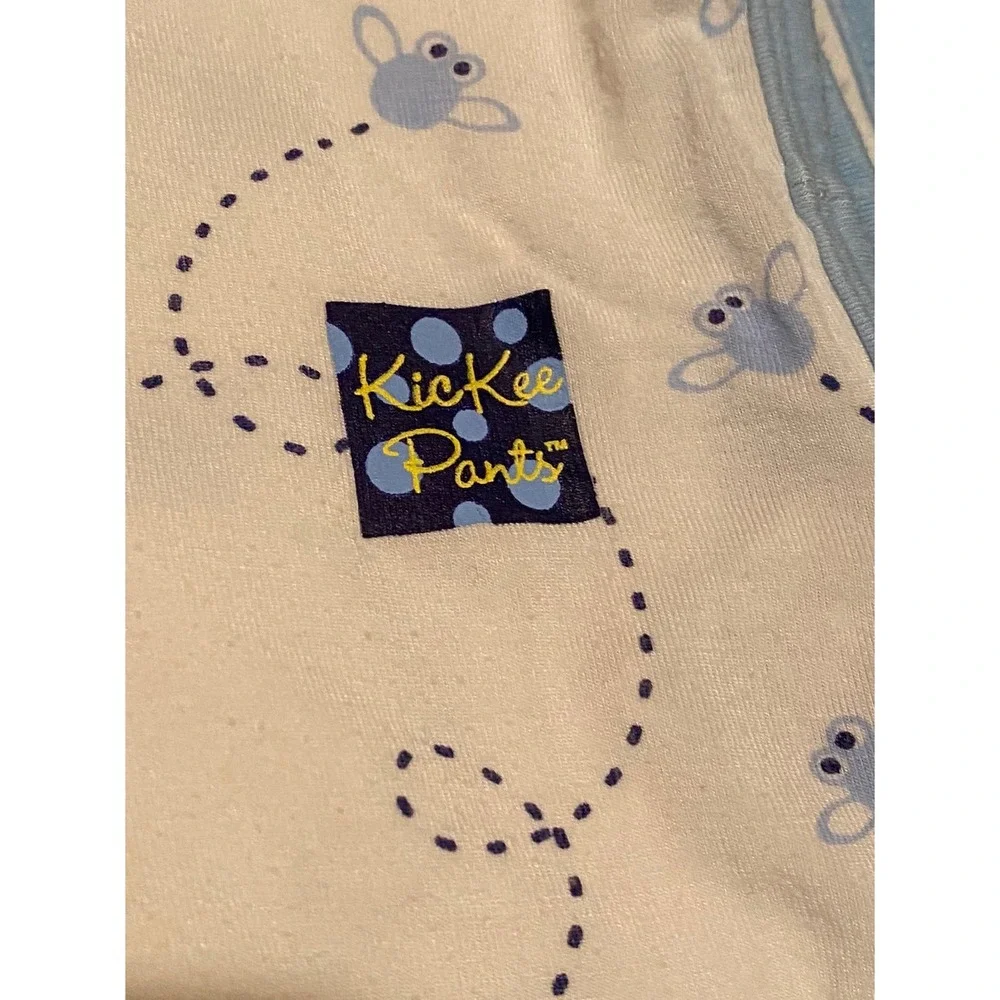 Kickee Pants Lot of 2 Swaddle Blankets Bamboo Viscose Snail Insect Blue Green